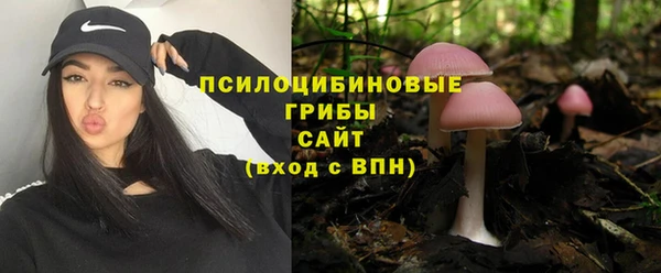 стафф Новокубанск