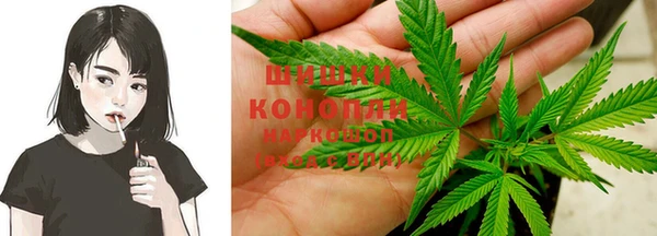 метадон Новодвинск