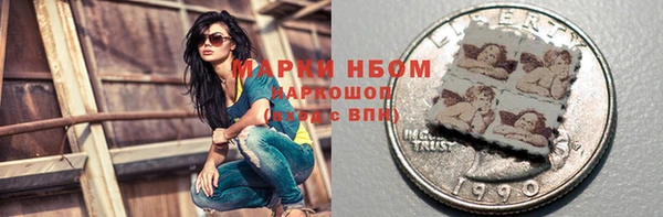 стафф Новокубанск