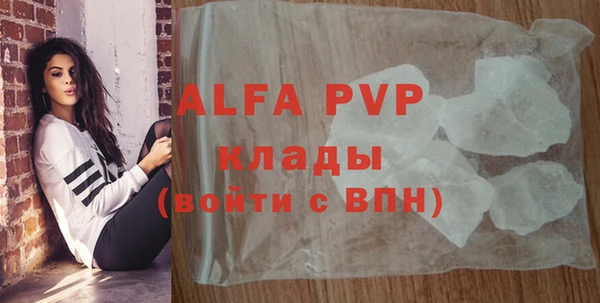 стафф Новокубанск
